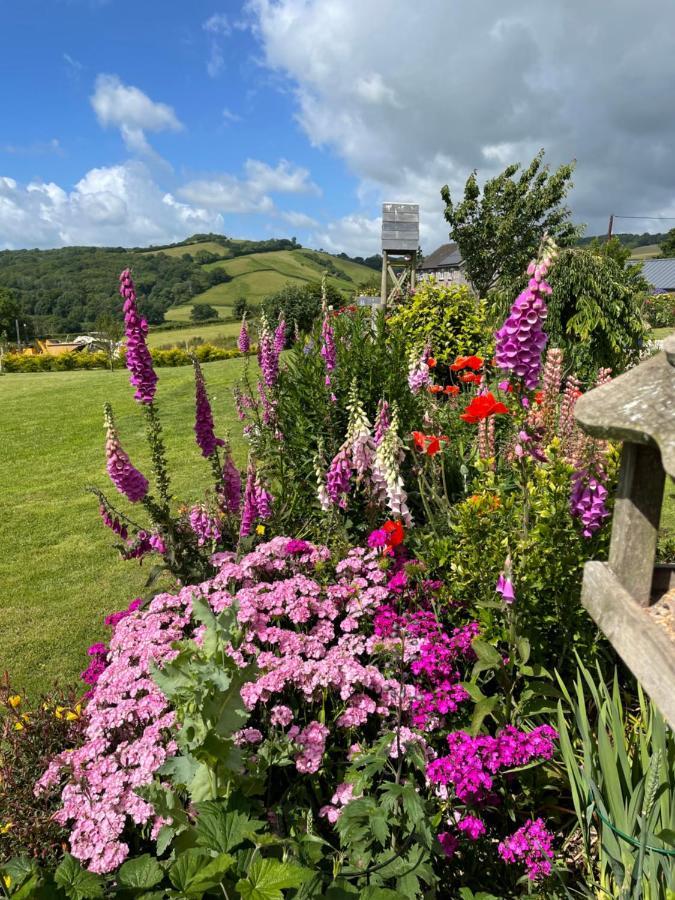 Westerley Country B & B With Exclusive Guest Lounge Бъкфастлей Екстериор снимка